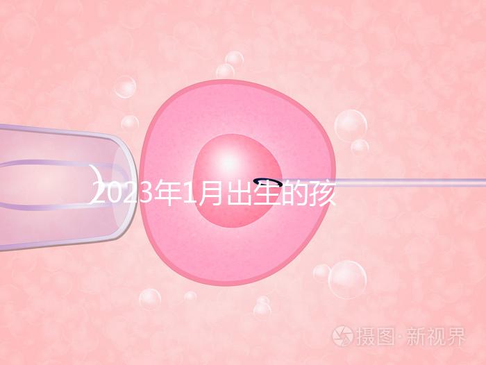 2023年1月出生的孩子取名宜忌要早知，星座、屬相均有講究